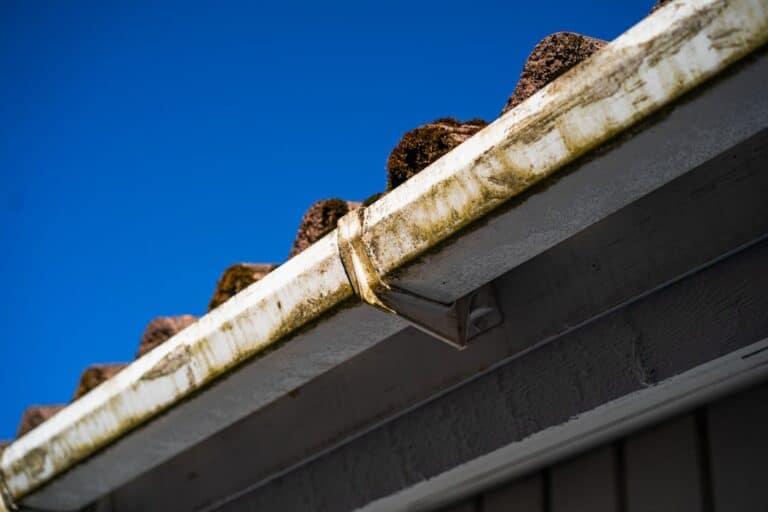 gutter cleaning cost